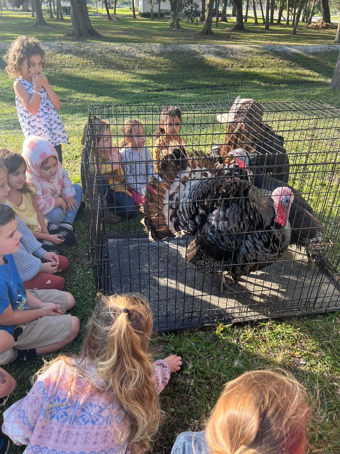 Rock Solid Christian Academy celebrated Friendsgiving on Nov. 17, and what would be a better visitor on Friendsgiving than turkeys? Thank you Denny and Adri for bringing them to school.